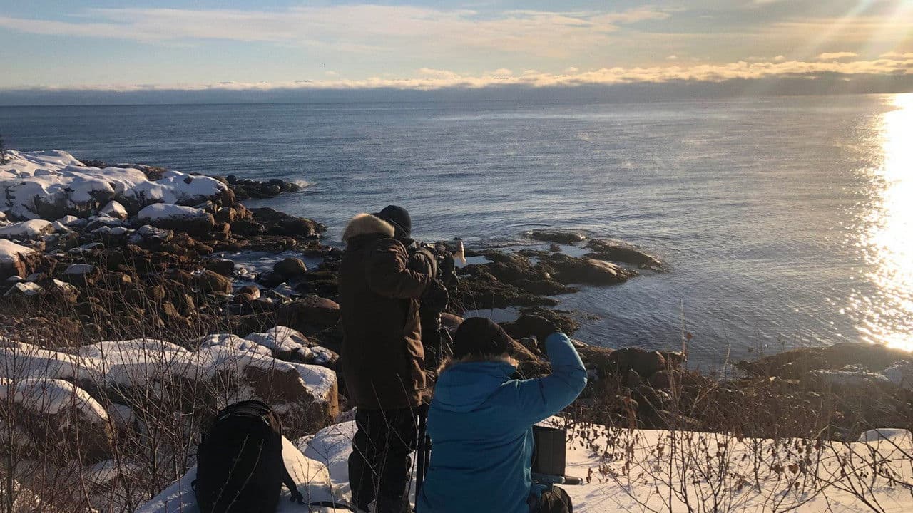 Backdrop – Nitassinan