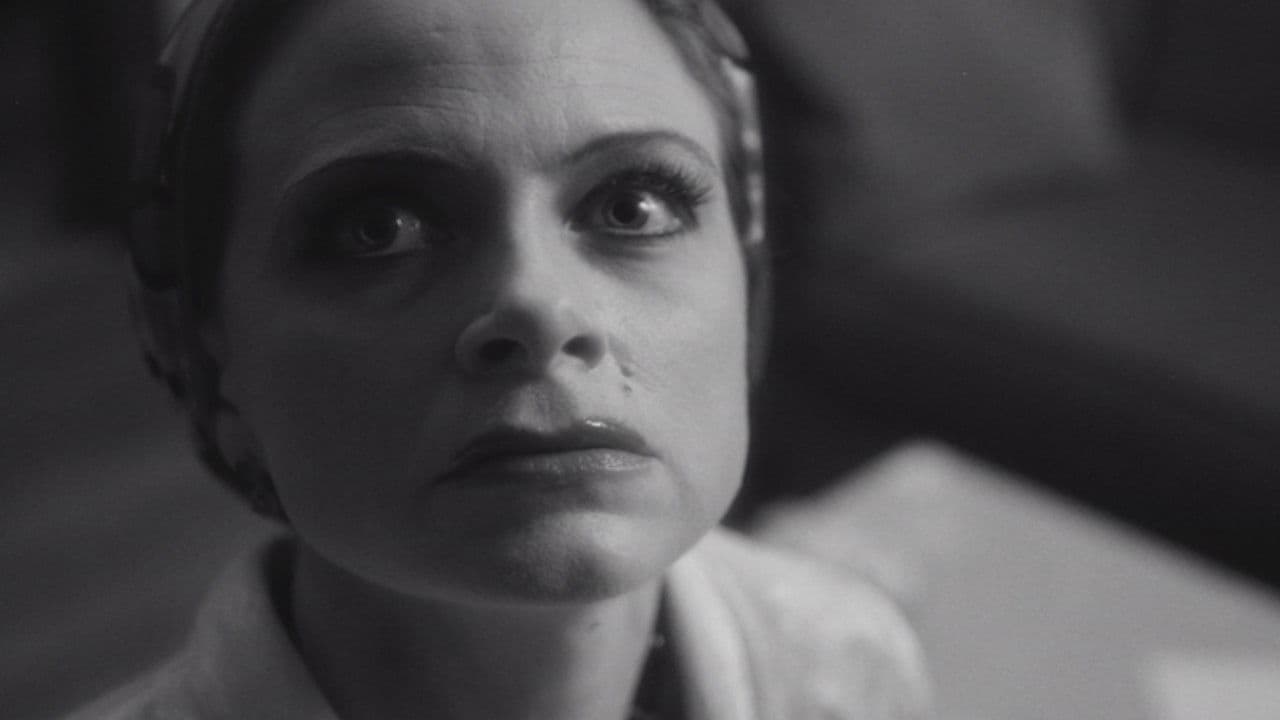 Backdrop – Starlets