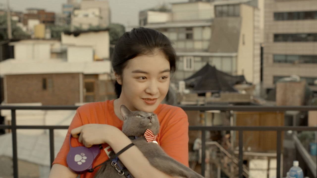 Backdrop – 나만 없어 고양이