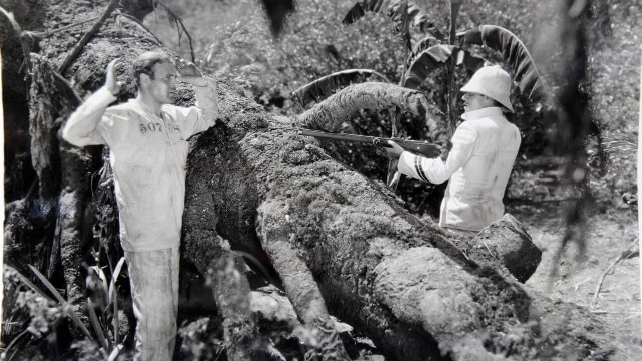 Backdrop – Hell's Island