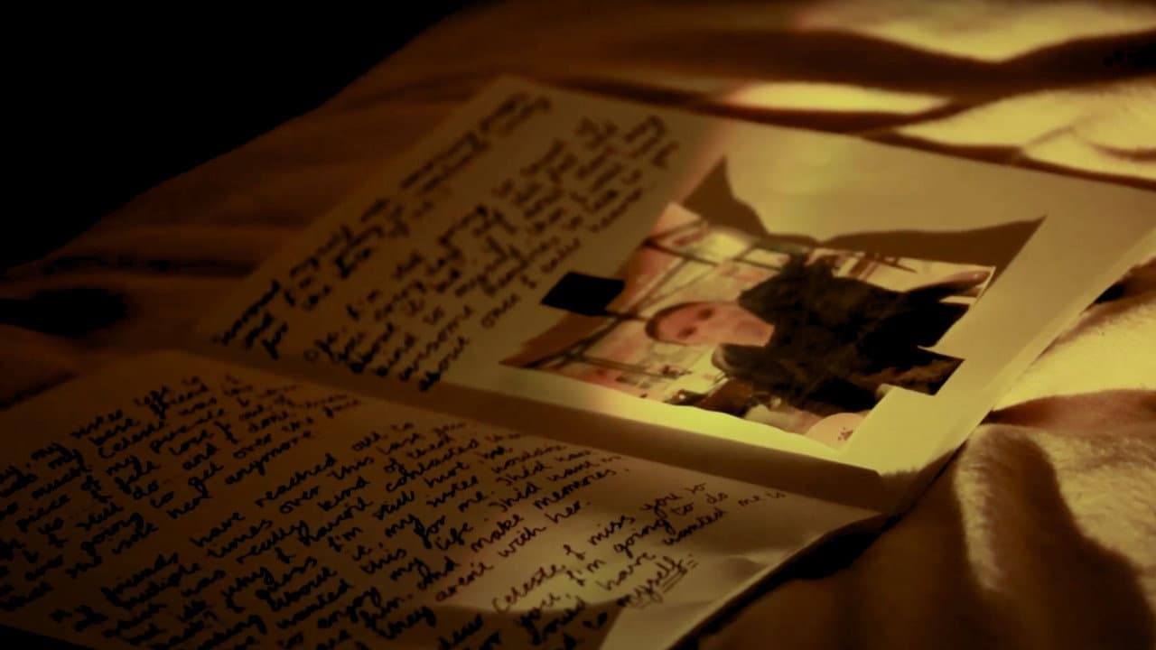 Backdrop – Dear Diary, Please Come Home