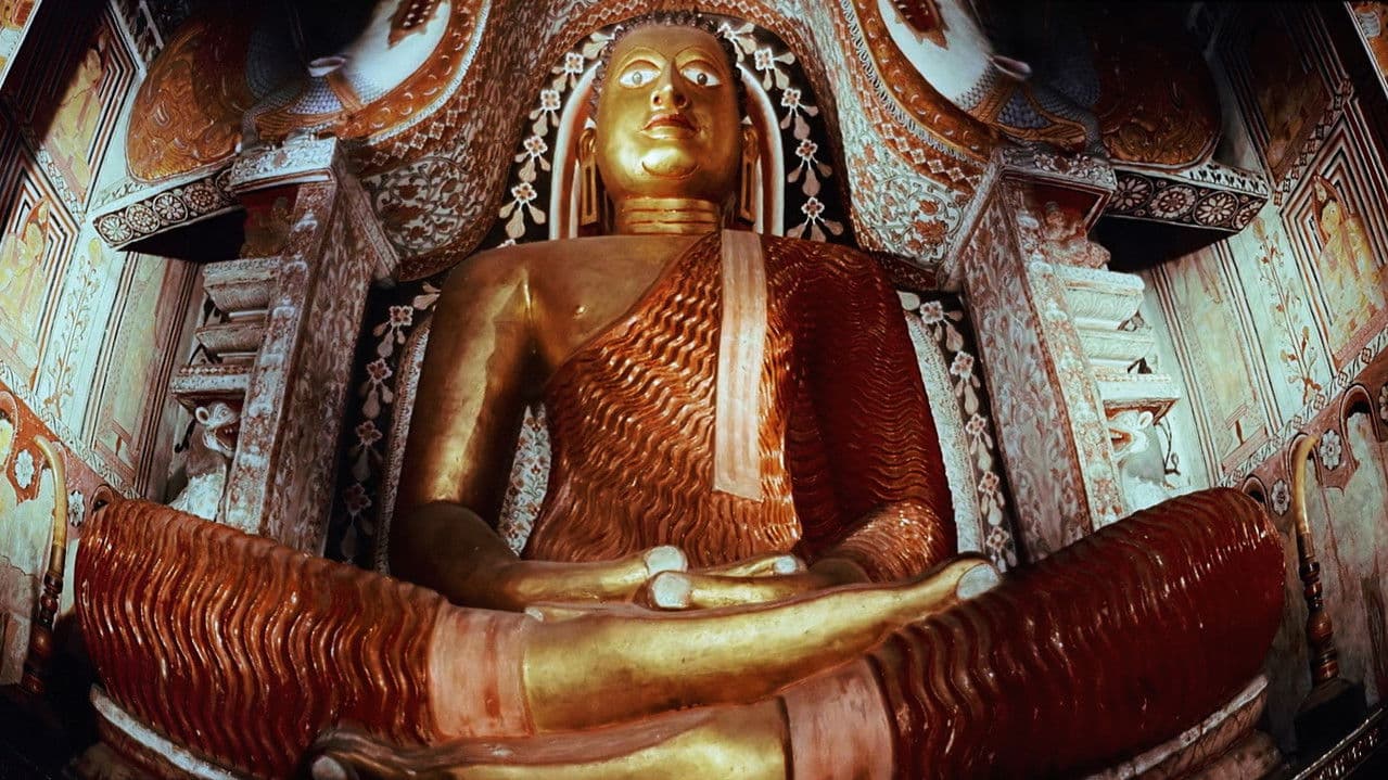 Backdrop – Search for Paradise