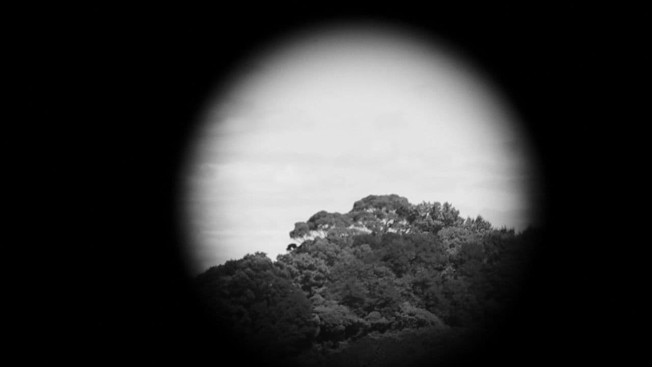 Backdrop – Trapallada (Saudade)