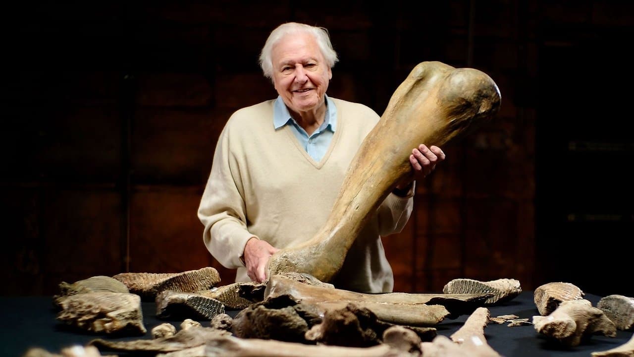 Backdrop – David Attenborough und der Mammut-Friedhof