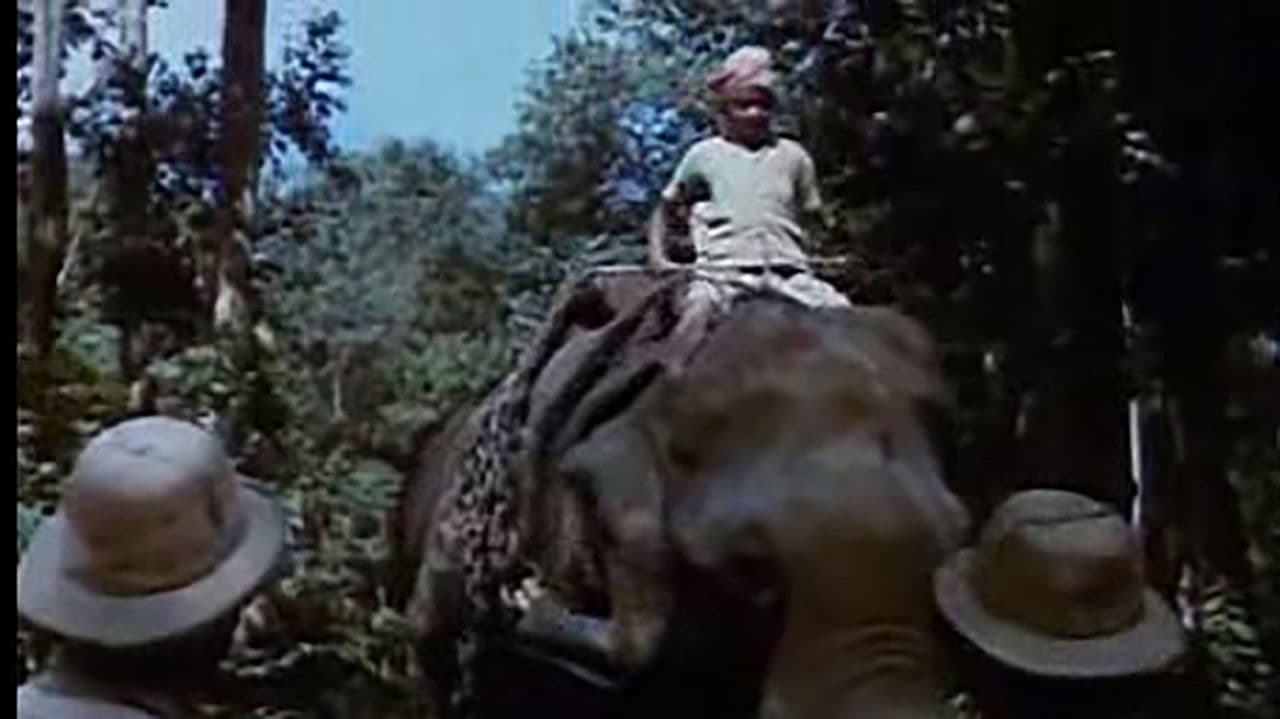 Backdrop – Der schwarze Berg