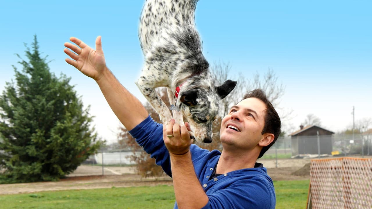 Backdrop – World's Greatest Dogs