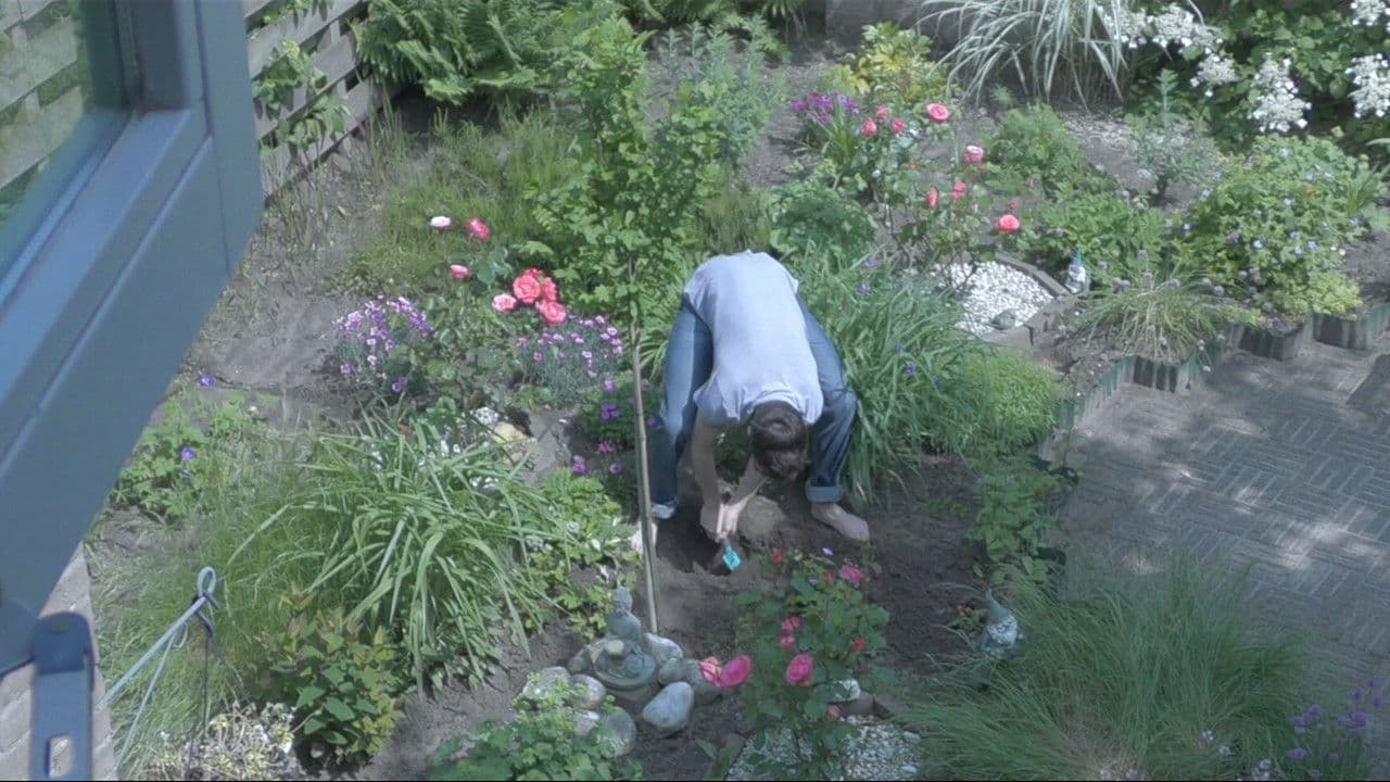 Backdrop – Verlangen