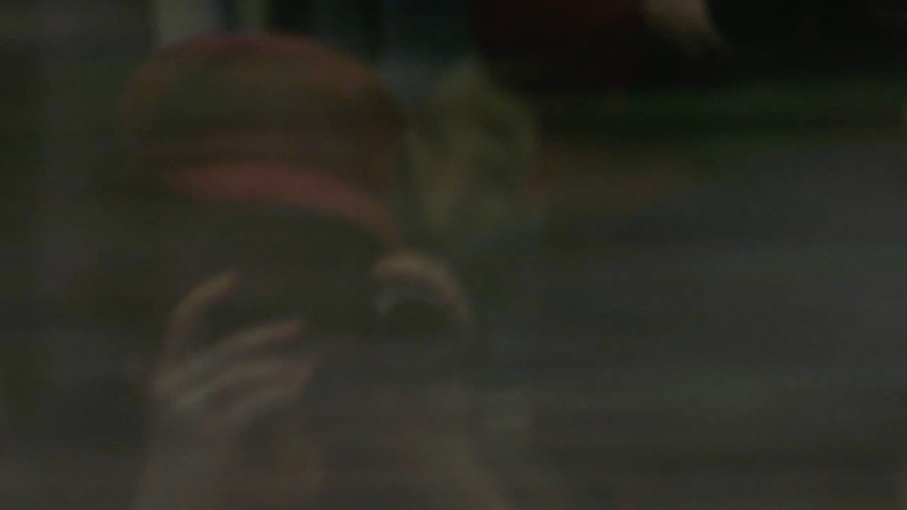 Backdrop – Looking Back