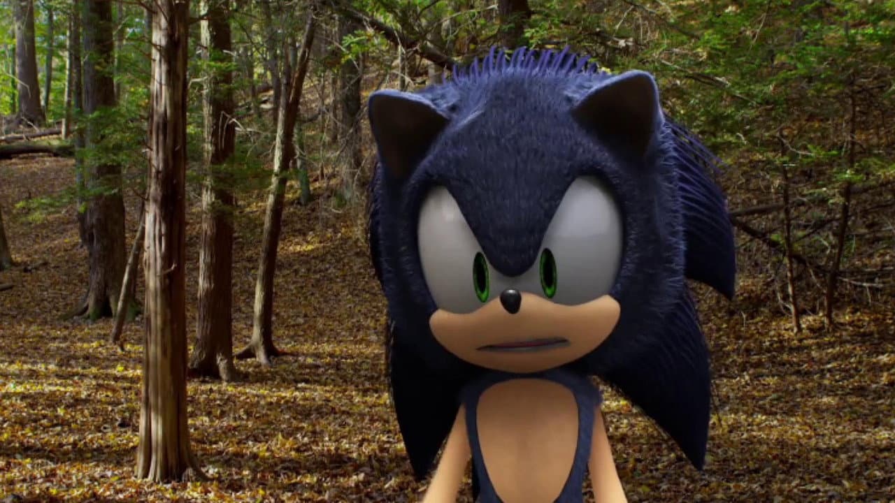 Backdrop – Sonic