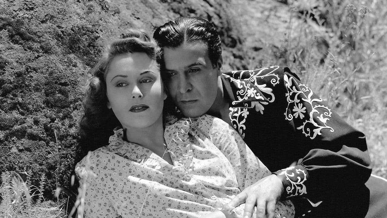 Backdrop – Zorro's Black Whip