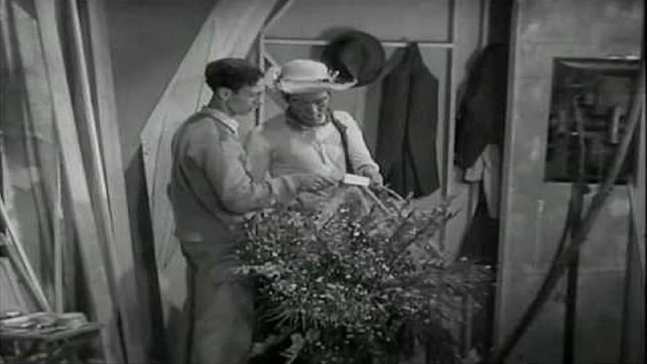 Backdrop – Águila o sol