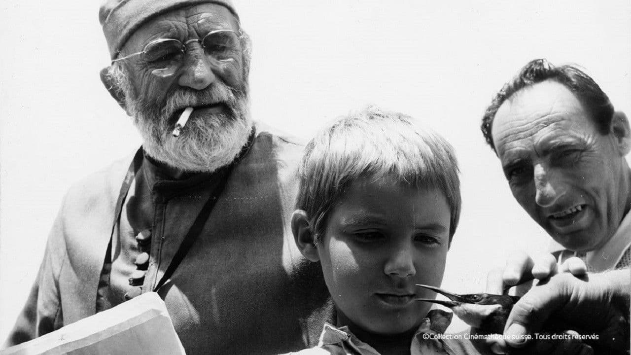 Backdrop – La steppa