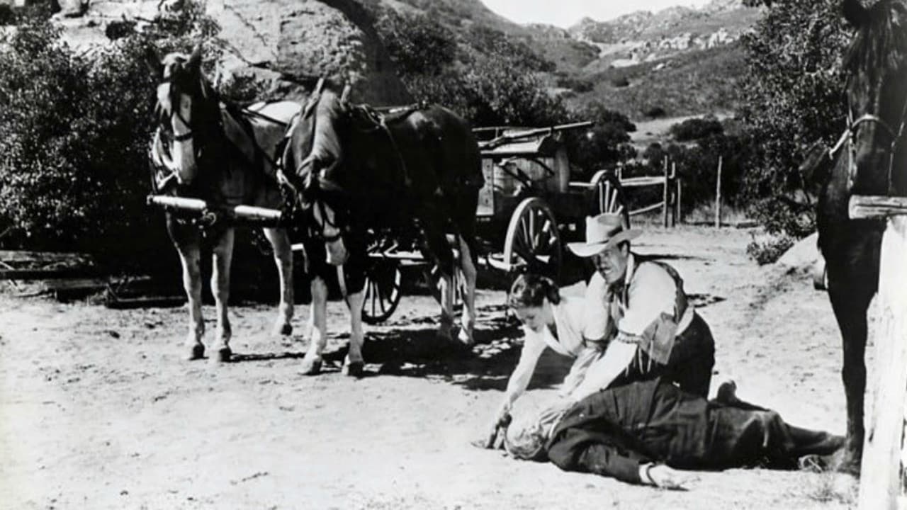 Backdrop – I Killed Wild Bill Hickok