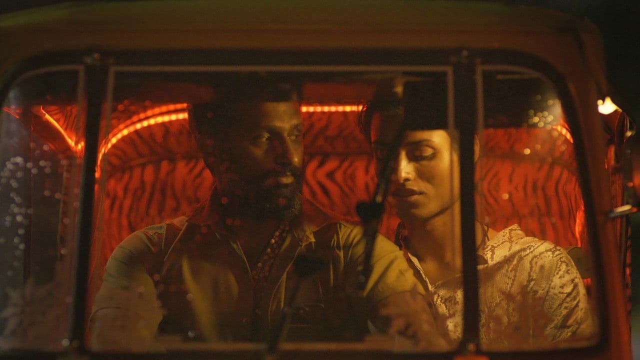 Backdrop – Automagic