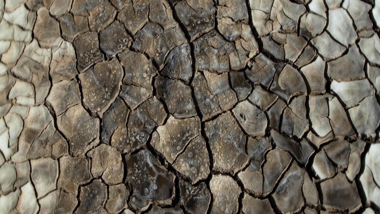 Backdrop – რას ჩურჩულებს ტალახი