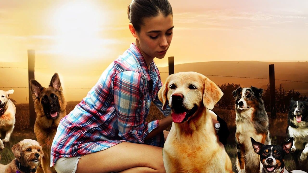 Backdrop – Dog Lover