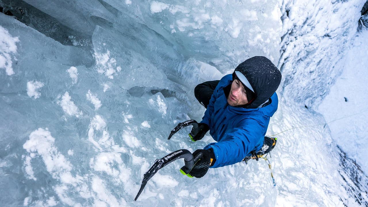 Backdrop – In Memory of Korra