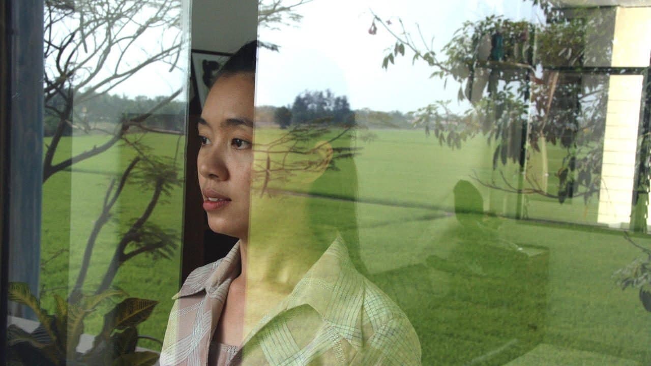 Backdrop – Syndromes and a Century - Licht des Jahrhunderts