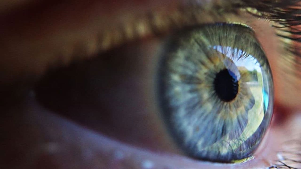 Backdrop – An Eye on You: Citizens Under Surveillance