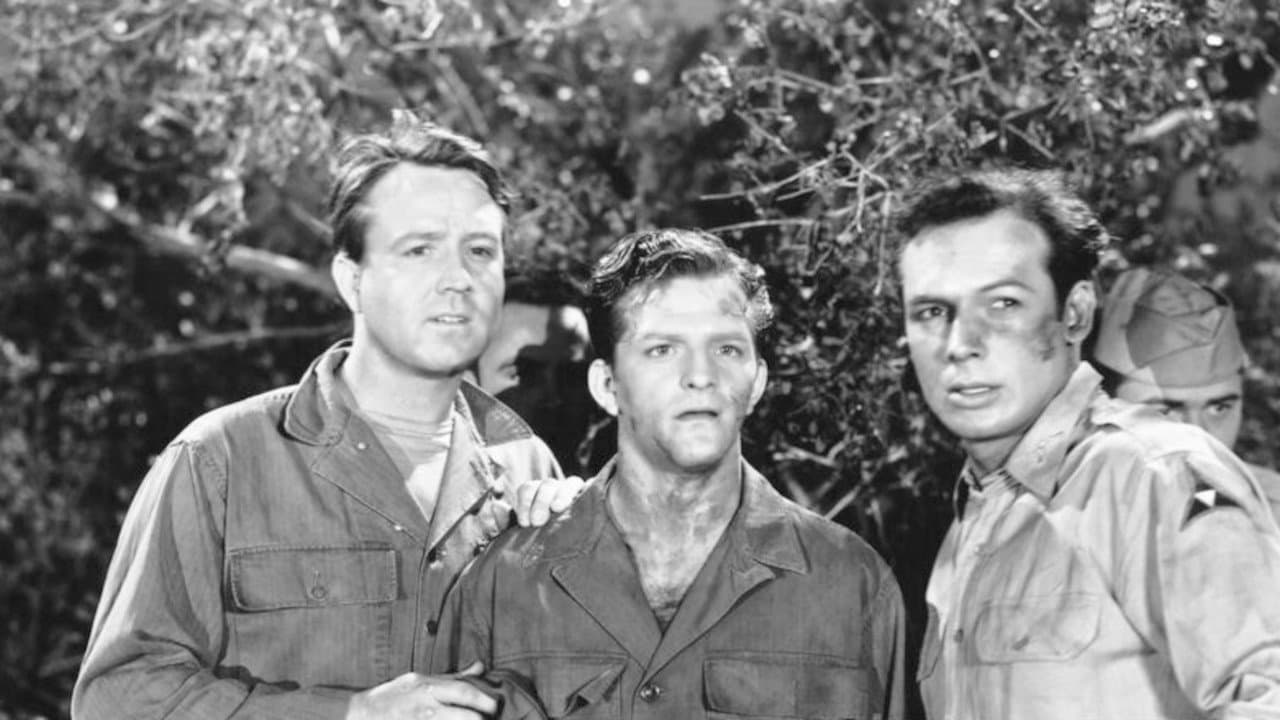 Backdrop – Army Bound