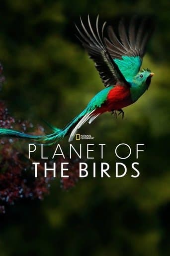 Planet der Vögel