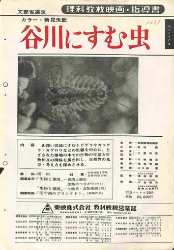 新昆虫記・谷川にすむ虫