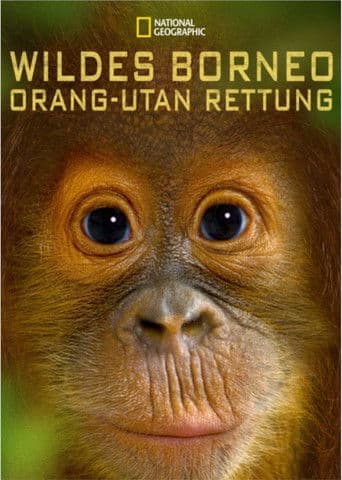 Wildes Borneo: Orang-Utan Rettung