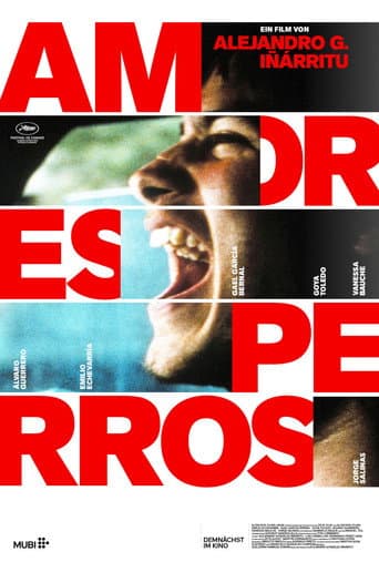 Amores perros