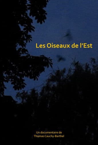 Les oiseaux de l'Est