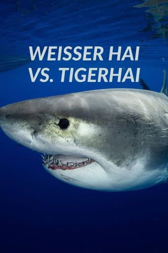 Weißer Hai vs. Tigerhai