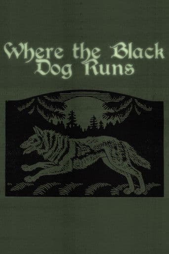 Where the Black Dog Runs