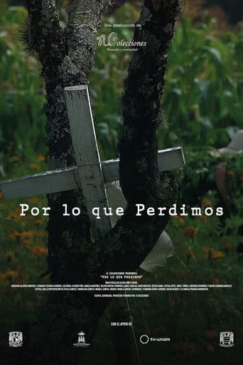 Por lo que Perdimos