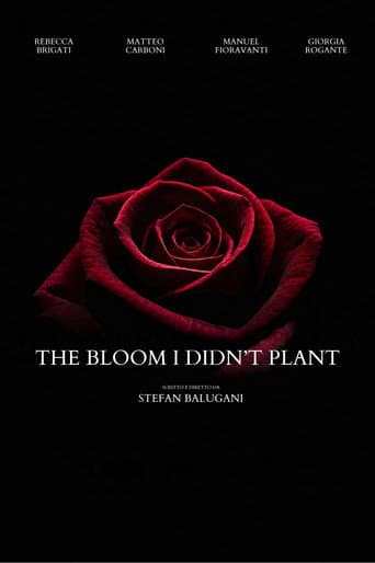 The Bloom I Didn't Plant