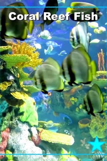 Wundervolles Korallenriff mit bunten Fischen