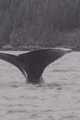 Whales