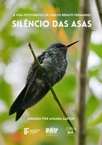Silêncio das Asas