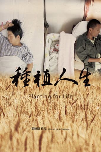 种植人生