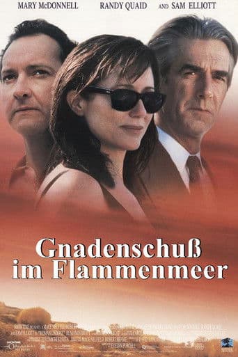 Gnadenschuß im Flammenmeer