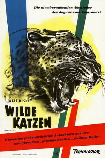 Wilde Katzen