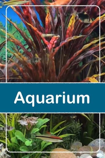 Aquarium 3 Stunden