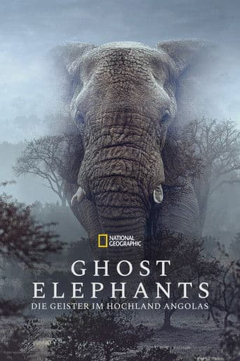 Ghost Elephants - Die Geister im Hochland Angolas