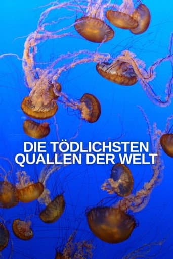 Die tödlichsten Quallen der Welt