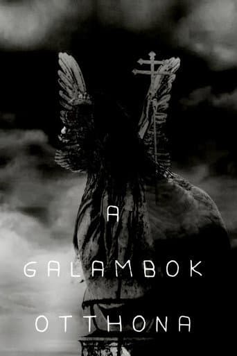 A galambok otthona