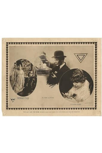 The Lily and the Rose