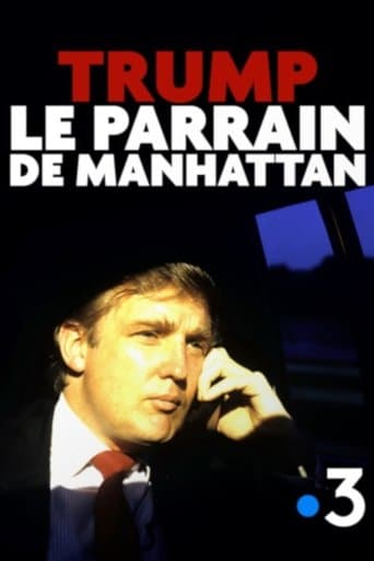 Donald Trump - Ein Milliardär als Präsident