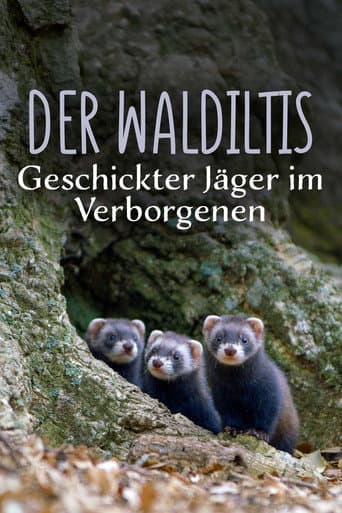 Der Waldiltis: Geschickter Jäger im Verborgenen