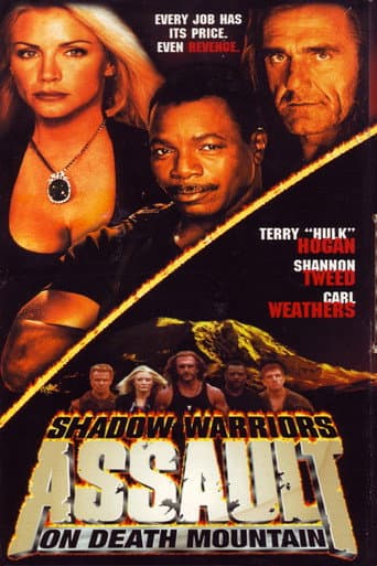 Shadow Warriors II - Rache um jeden Preis
