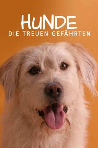 Hunde – Die treuen Gefährten