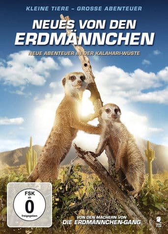 Neues von den Erdmännchen