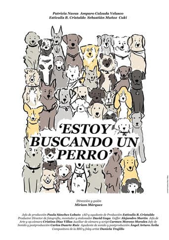 Estoy buscando un perro